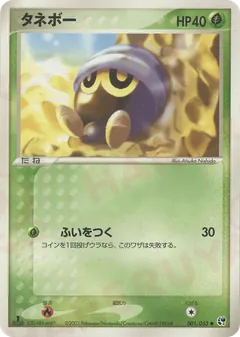 Miracle of the Desert / EX Sandstorm