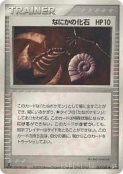 Mysterious Fossil