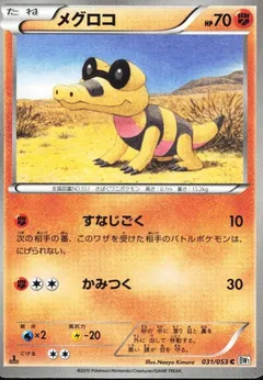 Sandile (1st Edition)