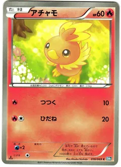 Torchic