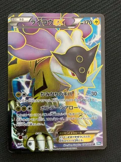 Raikou EX