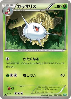 Silcoon (1st Edition)