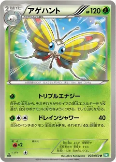 Beautifly (1st Edition)
