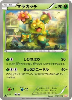 Maractus (1st Edition)