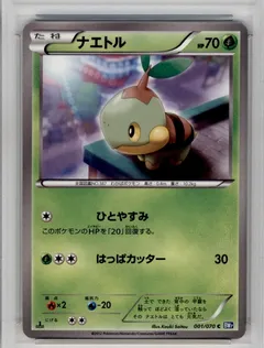 Plasma Gale