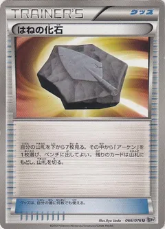 Plume Fossil