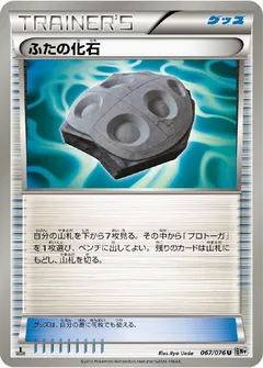 Cover Fossil (1st Edition)