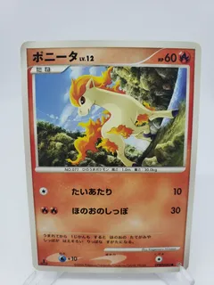 Ponyta