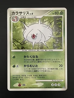 Silcoon (1st Edition)