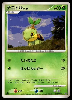 Turtwig