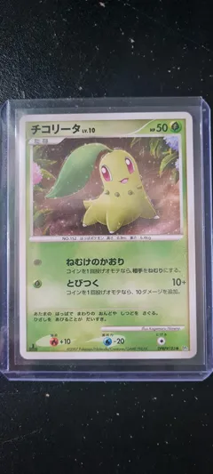 Chikorita