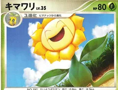Sunflora (1st Edition)