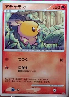 Torchic