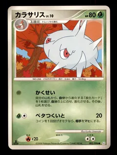 Silcoon (1st Edition)