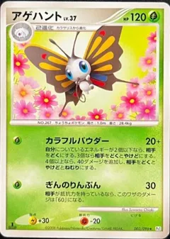 Beautifly (1st Edition)