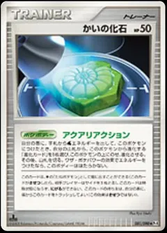 Helix Fossil