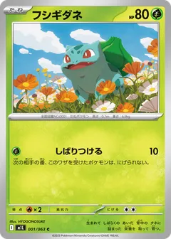 Mega Evolution (Mega Brave)