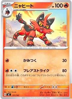 Torracat