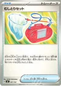 Bug Catching Set