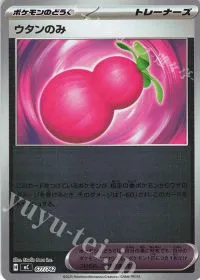 Payapa Berry
