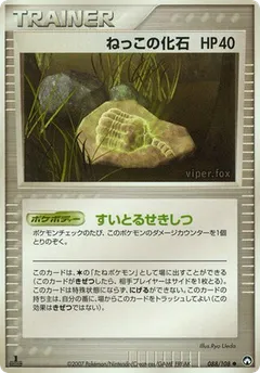 Root Fossil