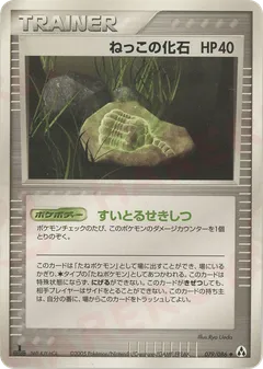 Root Fossil