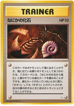 Mysterious Fossil
