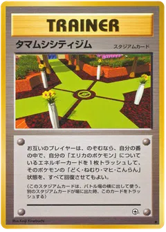 Celadon City Gym