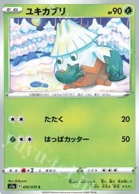 Sno Ver