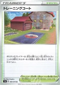 Training Court