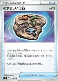 Rare Fossil