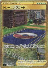 Training Court