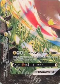 Morpeko V Union