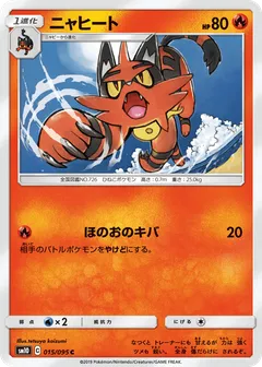 Torracat