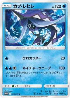 Tapu Fini