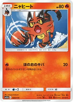 Torracat