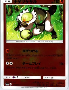 Passimian