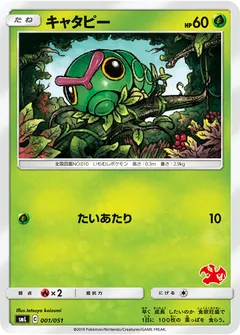 Sun & Moon Family Pokémon Card Game