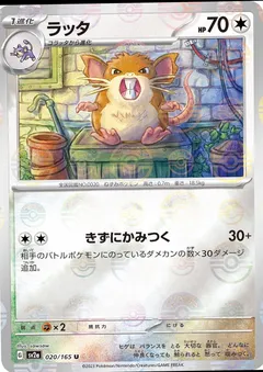 Raticate (Reverse Holo)
