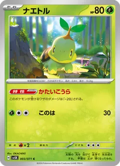 Turtwig