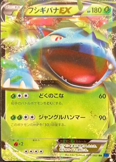XY Collection X