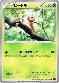 XY Collection Y