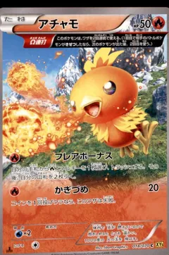 Torchic