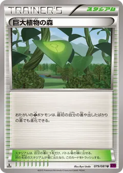 Forest Of Giant Plants