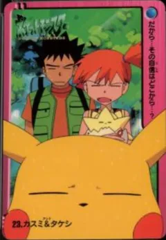 Brock, Misty, Pikachu, Togepi