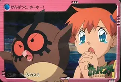 Hoothoot & Misty