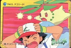 Ash, Chikorita, Quagsire