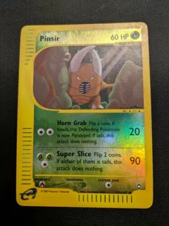 Pinsir