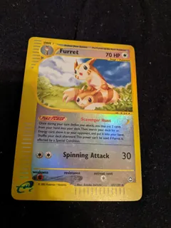 Furret