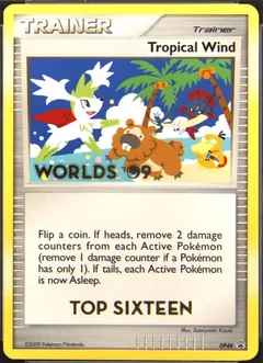 Tropical Wind